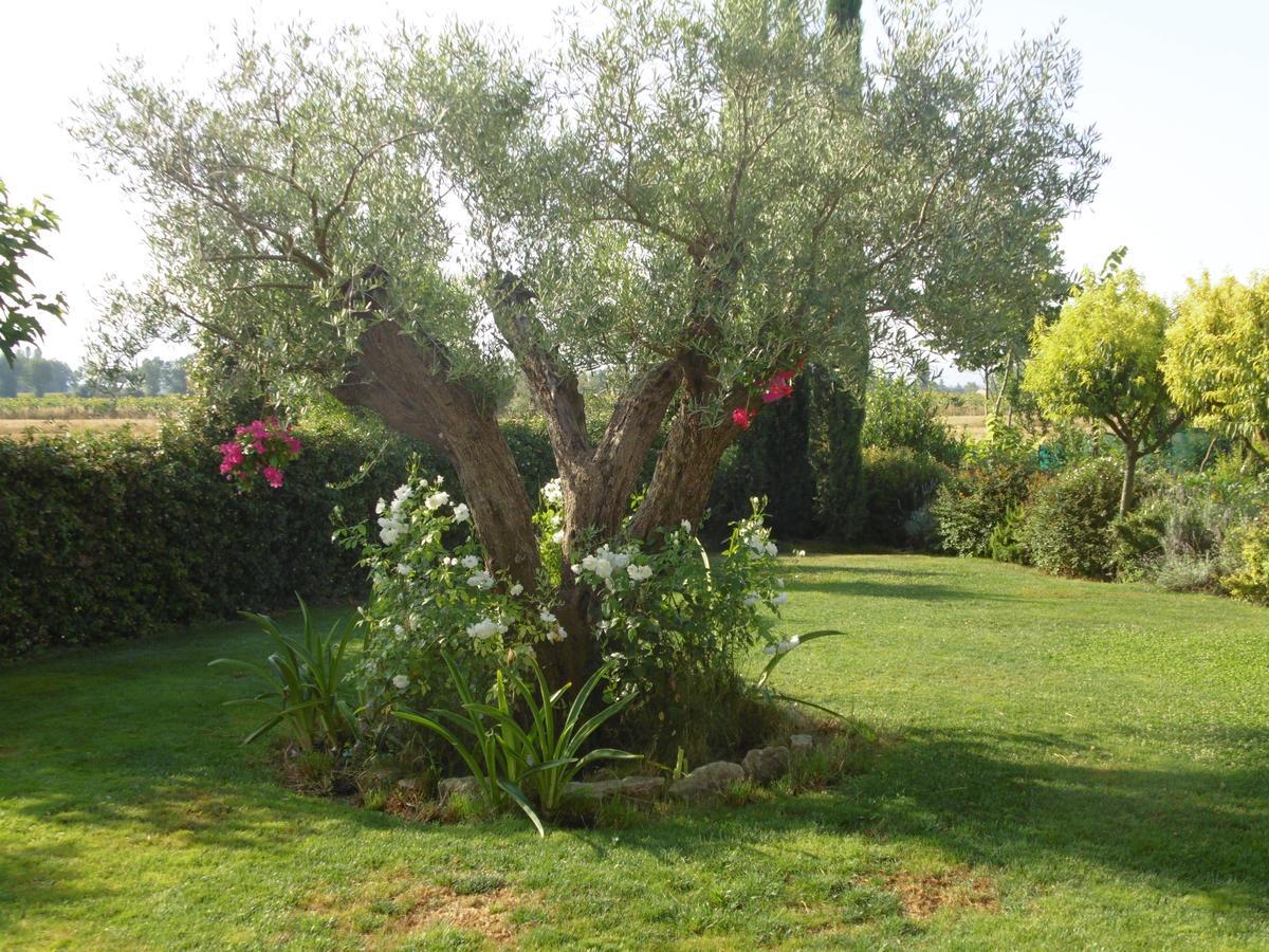 B&B La Gioiosa Assisi Exterior photo