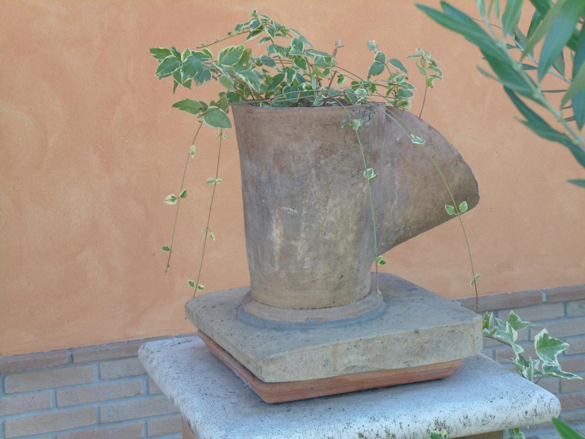 B&B La Gioiosa Assisi Exterior photo